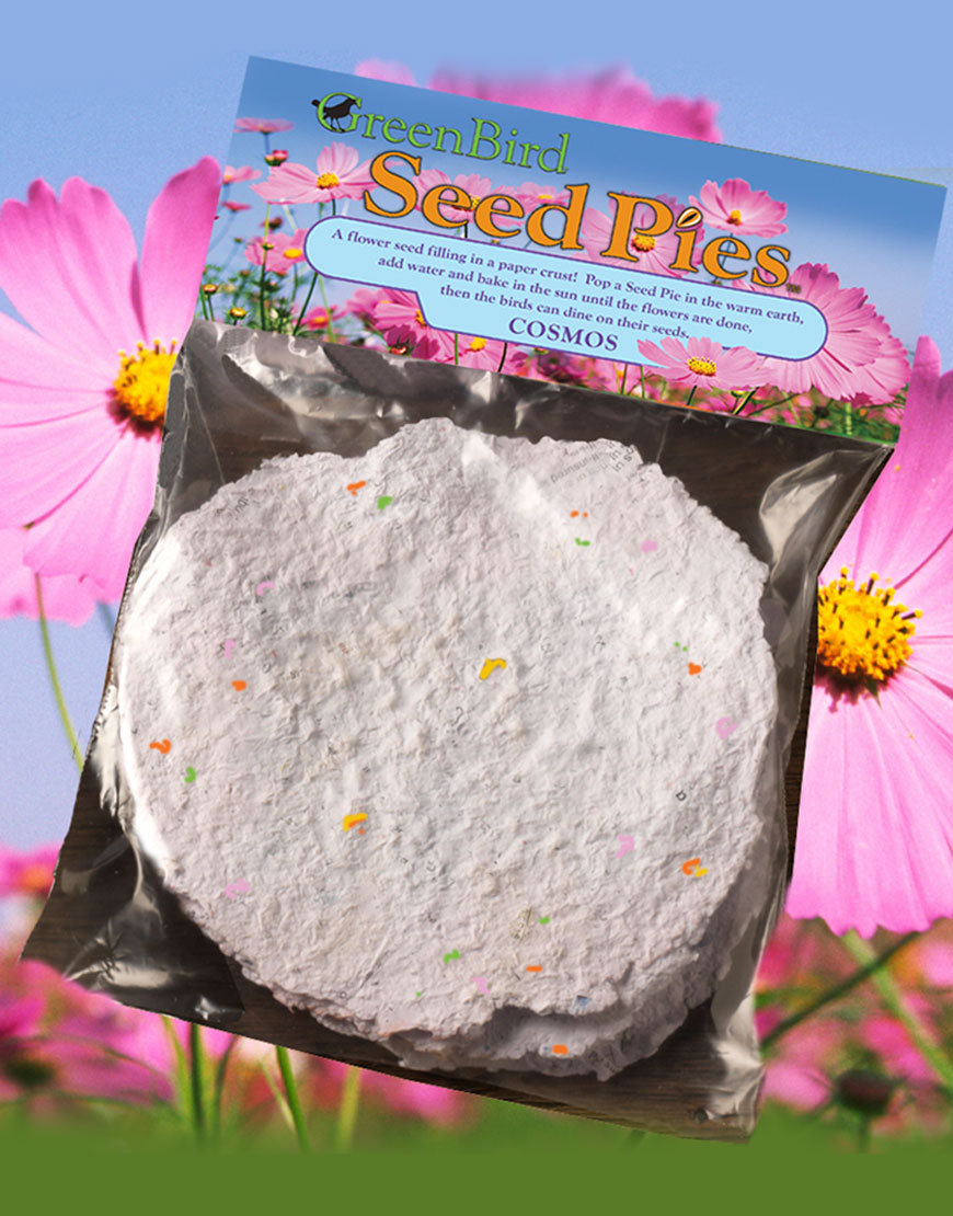 Seed Pies – Cosmos